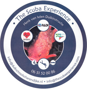 The Scuba Experience